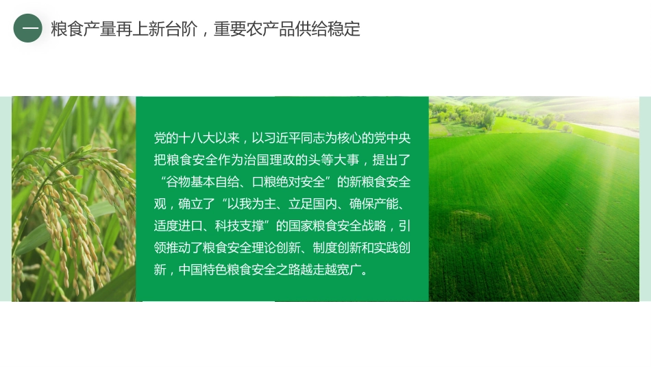 党课讲稿+PPT系列第120期：党的十八大以来我国农业发展的历史性成就（喜迎二十大）_第4页