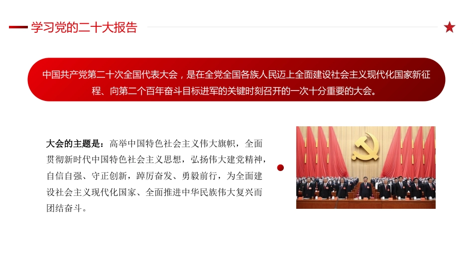 党课讲稿+PPT系列第130期：学习二十大报告（二十大学习材料）_第4页