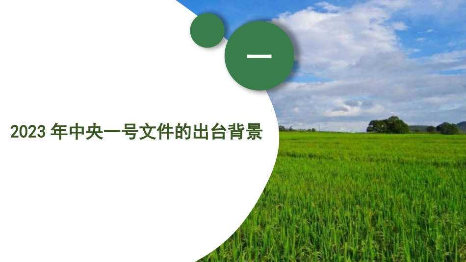 党课讲稿+PPT系列第175期：2023年中央一号文件精神解读 守底线、促振兴、强保障_第3页