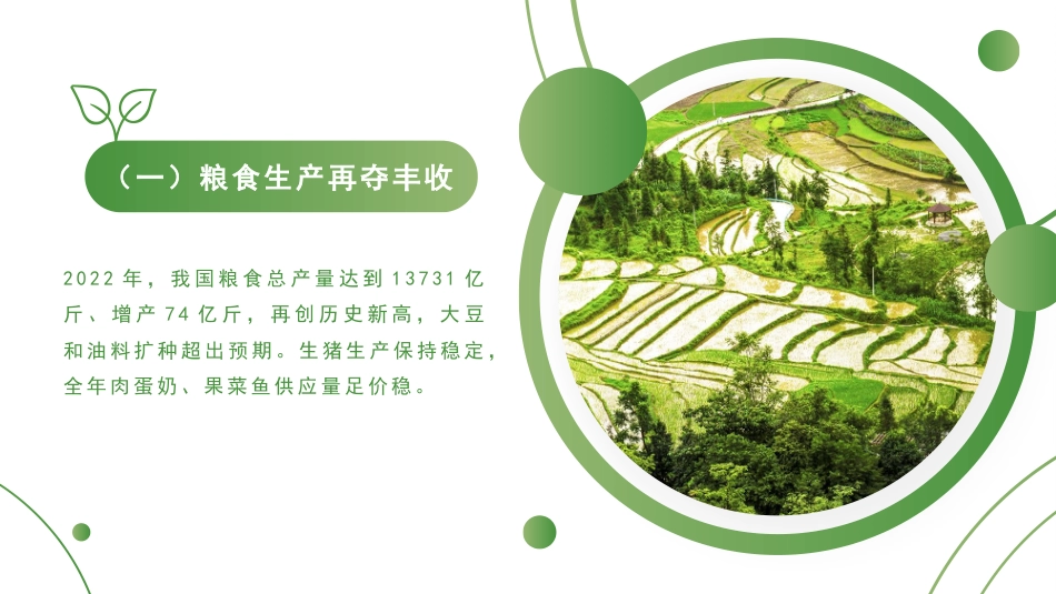 党课讲稿+PPT系列第175期：2023年中央一号文件精神解读 守底线、促振兴、强保障_第4页