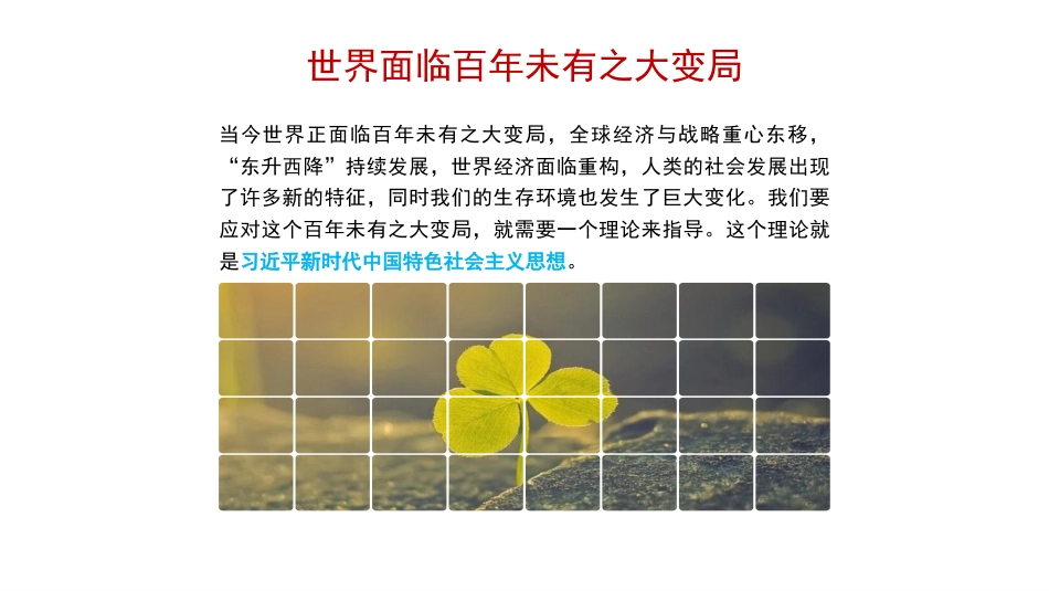 党课讲稿+PPT系列第194期:关于习近平新时代中国特色社会主义思想产生的时代背景的思考(主题教育)_第7页