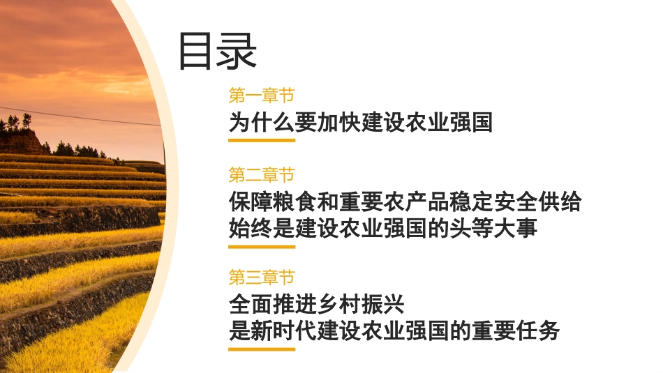 党课讲稿+PPT系列第226期：全面推进乡村振兴 加快建设农业强国（三农）_第4页