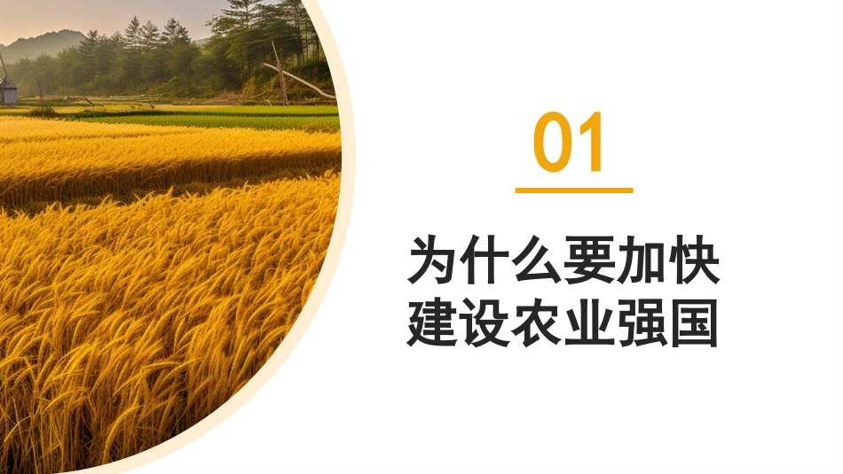 党课讲稿+PPT系列第226期：全面推进乡村振兴 加快建设农业强国（三农）_第6页