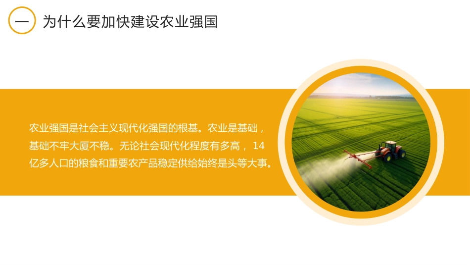 党课讲稿+PPT系列第226期：全面推进乡村振兴 加快建设农业强国（三农）_第7页