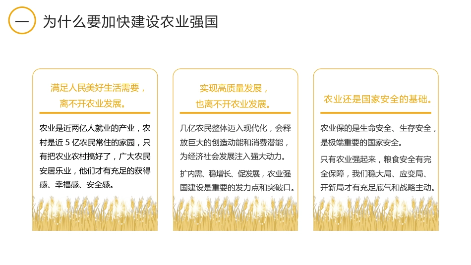 党课讲稿+PPT系列第226期：全面推进乡村振兴 加快建设农业强国（三农）_第8页
