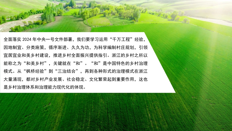 党课讲稿+PPT系列第252期：2024年中央一号文件精神解读  统筹提升乡村产业发展、乡村建设、乡村治理水平_第5页