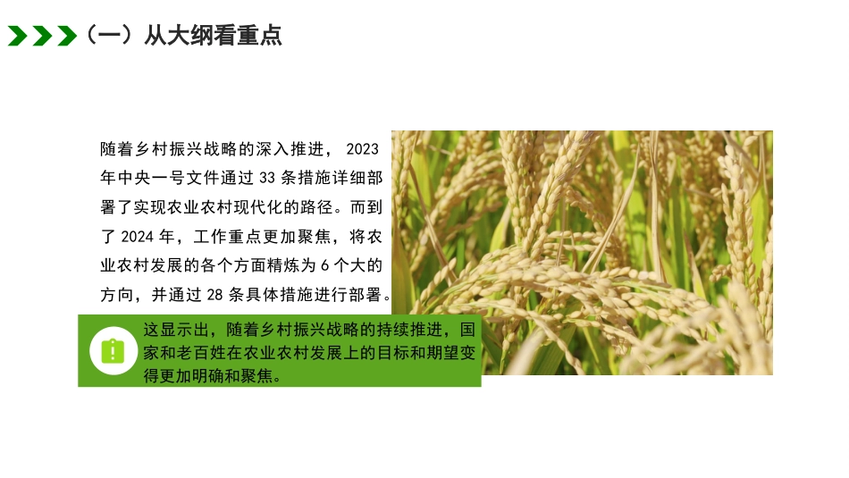 党课讲稿+PPT系列第252期：2024年中央一号文件精神解读  统筹提升乡村产业发展、乡村建设、乡村治理水平_第7页