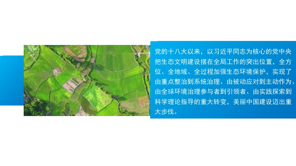 党课讲稿+PPT系列第298期：聚焦建设美丽中国 加快推进人与自然和谐共生的现代化——学习贯彻党的二十届三中全会精神_第8页