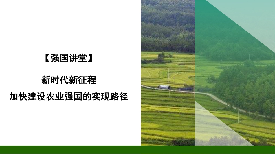 党课讲稿+PPT系列第318期：新时代新征程加快建设农业强国的实现路径_第1页