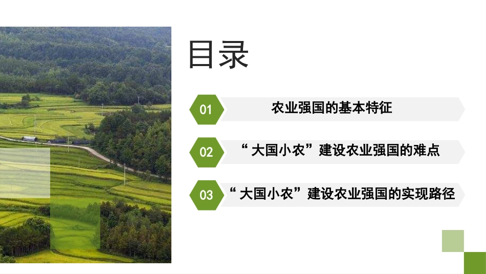 党课讲稿+PPT系列第318期：新时代新征程加快建设农业强国的实现路径_第2页