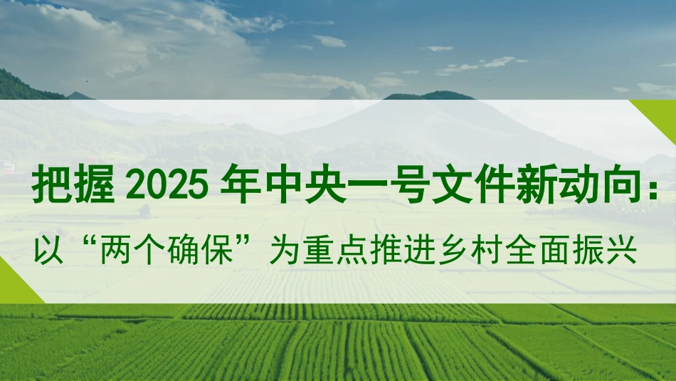党课讲稿+PPT系列第344期：把握2025年中央一号文件新动向： 以“两个确保”为重点推进乡村全面振兴_第1页