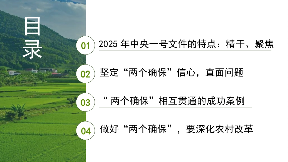 党课讲稿+PPT系列第344期：把握2025年中央一号文件新动向： 以“两个确保”为重点推进乡村全面振兴_第2页