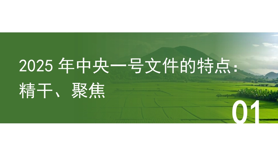 党课讲稿+PPT系列第344期：把握2025年中央一号文件新动向： 以“两个确保”为重点推进乡村全面振兴_第3页