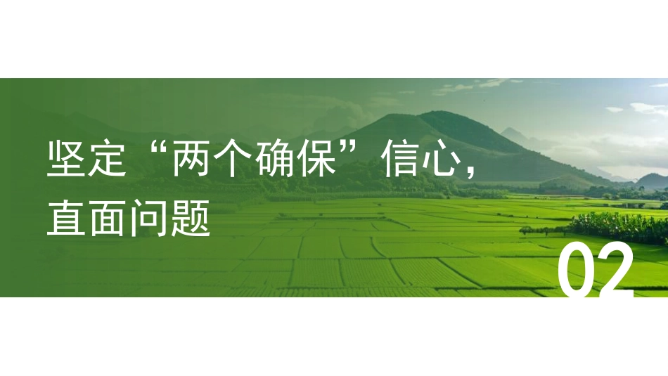 党课讲稿+PPT系列第344期：把握2025年中央一号文件新动向： 以“两个确保”为重点推进乡村全面振兴_第8页