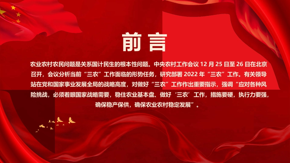 中央农村工作会议精神解读PPT_第2页