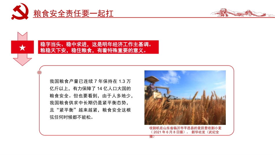 粮食安全专题党课ppt:粮食安全要强调责任二字_第5页
