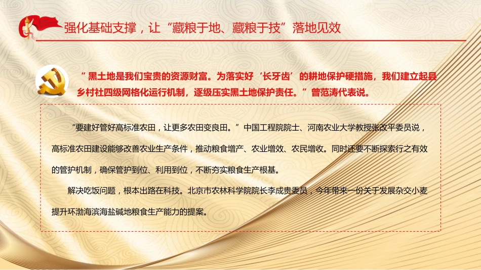 粮食安全专题党课ppt_第9页