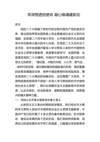 主题教育党课ppt+讲稿：学深悟透担使命 凝心铸魂建新功（15000字，44张）