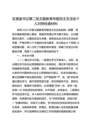 区委副书记主题教育专题民主生活会个人对照检查4500字