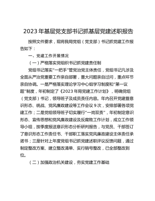2023年党支部书记抓基层党建述职报告2500字