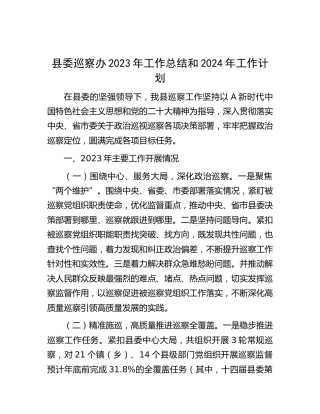 县委巡察办2023年工作总结