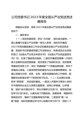 公司党委书记2023年度全面从严治党述责述廉报告2600字