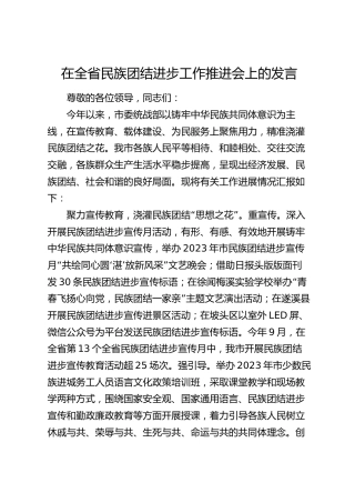 在全省民族团结进步工作推进会上的发言