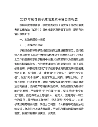2023年领导班子政治素质考察自查报告（学校3000字总结）