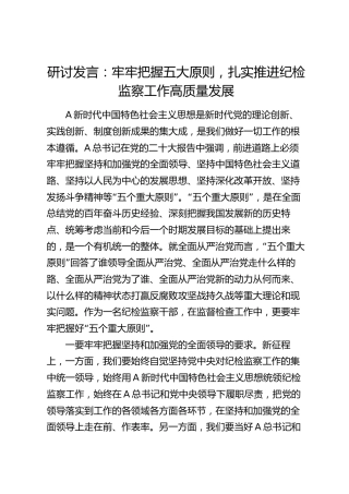 研讨发言：牢牢把握五大原则，扎实推进纪检监察工作高质量发展