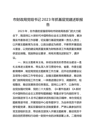 财政系统2023年书记抓党建述职报告2800字
