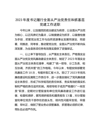 2023年度书记履行全面从严治党责任和抓党建述职报告2400字