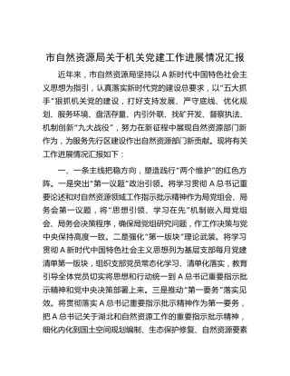 市自然资源系统三年党建工作进展情况总结汇报