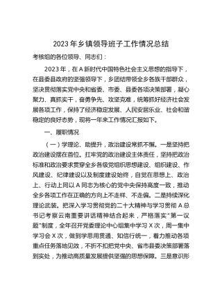 2023年乡镇领导班子工作情况总结（4600字述职）