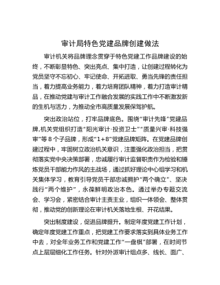 市审计系统特色党建品牌创建做法