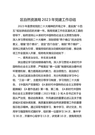 自然资源系统2023年党建工作总结4000字
