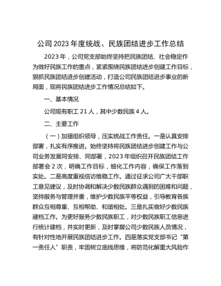 公司2023年度统战、民族团结进步工作总结1900字