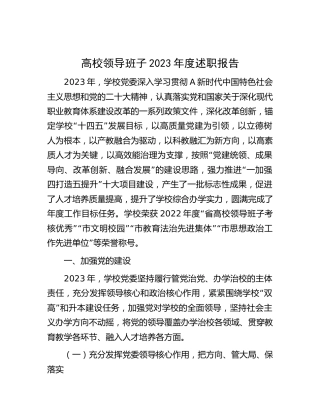 高校领导班子2023年度述职报告（学校13000字总结）