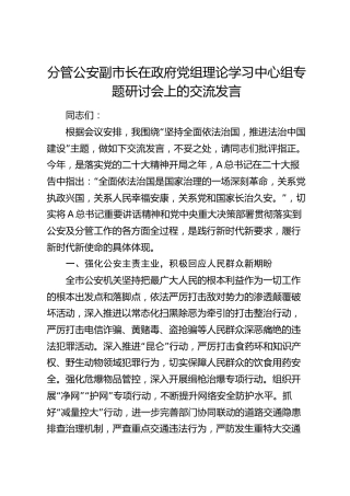 分管公安副市长在中心组专题研讨会上的交流发言