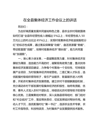在全县集体经济工作会议上的讲话