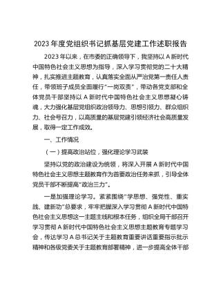 2023年党组织书记抓基层党建工作述职报告3800字