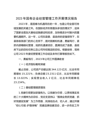 2023年国企公司经营管理工作开展情况总结报告