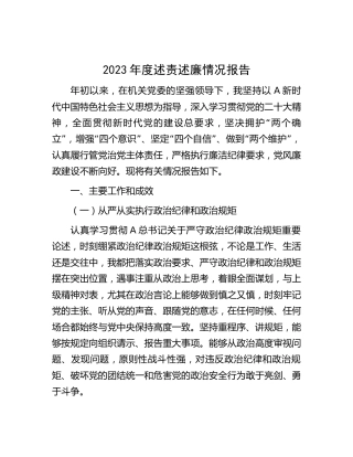 2023年度述责述廉情况报告2500字