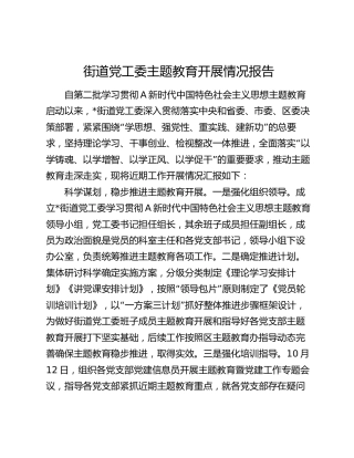 街道党工委主题教育开展情况报告