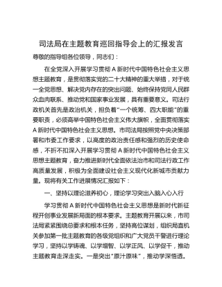 司法系统在主题教育巡回指导会上的汇报发言（4400字总结）