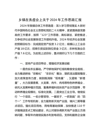 乡镇在务虚会上关于2024年工作计划汇报