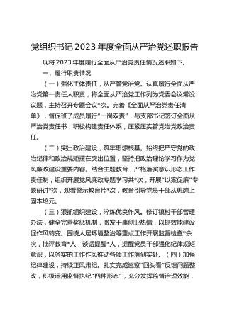 党组织书记2023年度全面从严治党述职报告2000字