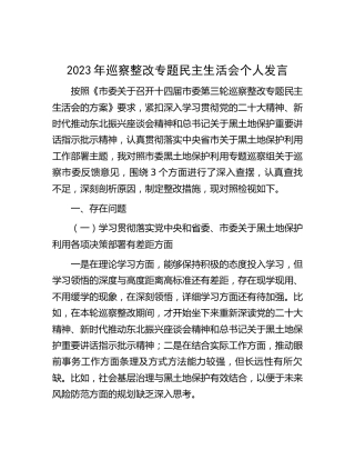 2023年巡察整改专题民主生活会个人对照检查2500字（黑土地保护利用）