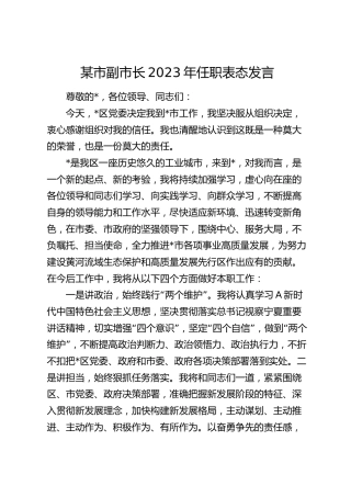 某市副市长2023年任职表态发言