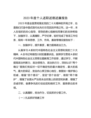 2023年度个人述职述德述廉报告3200字