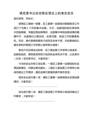 乡镇书记在巡察反馈会上的主持、表态发言